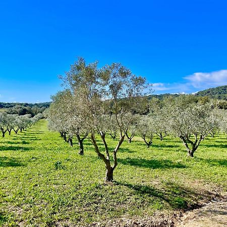 Latitudes 43 Apartman Porquerolles Kültér fotó