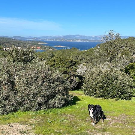 Latitudes 43 Apartman Porquerolles Kültér fotó