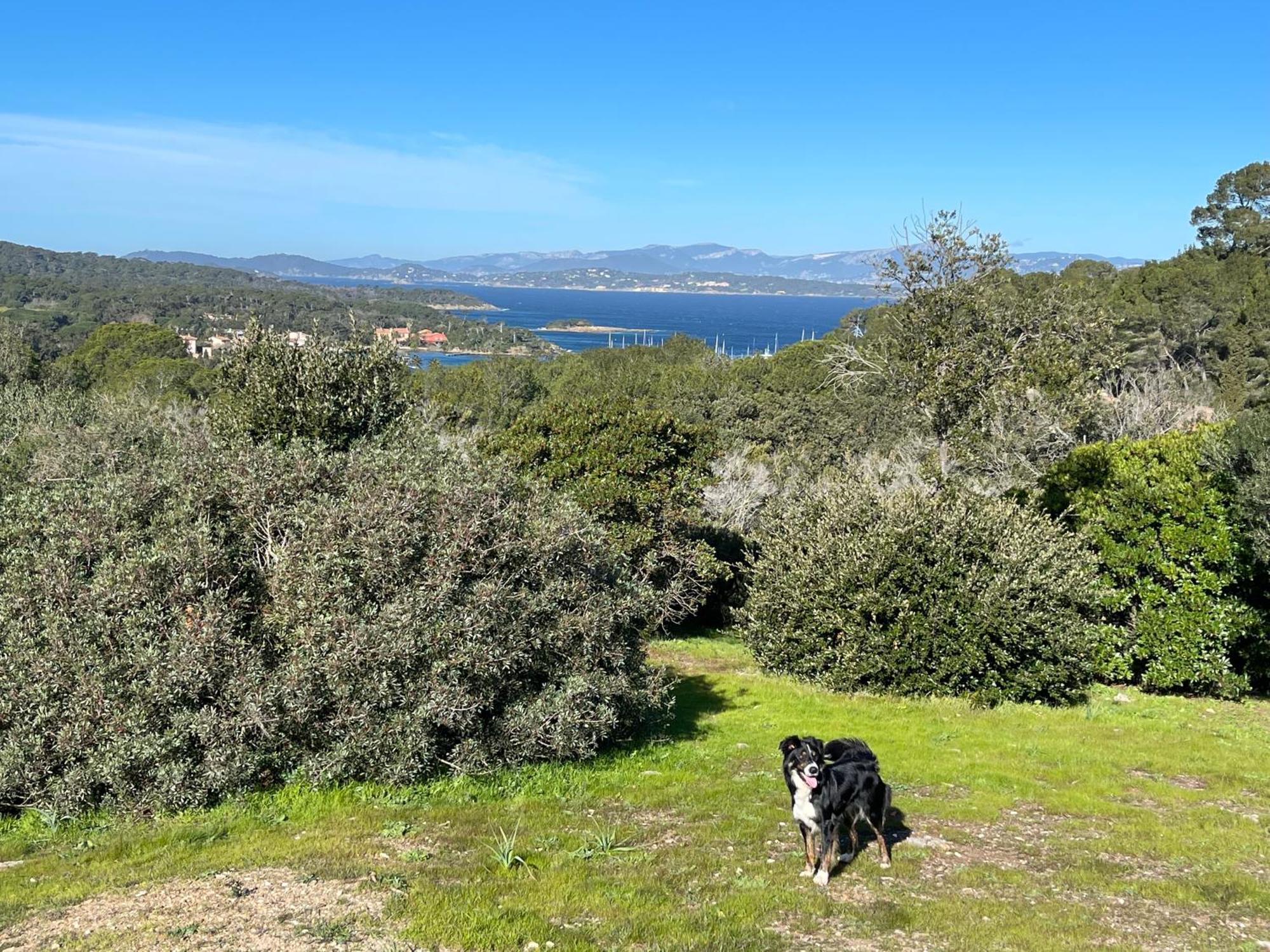 Latitudes 43 Apartman Porquerolles Kültér fotó