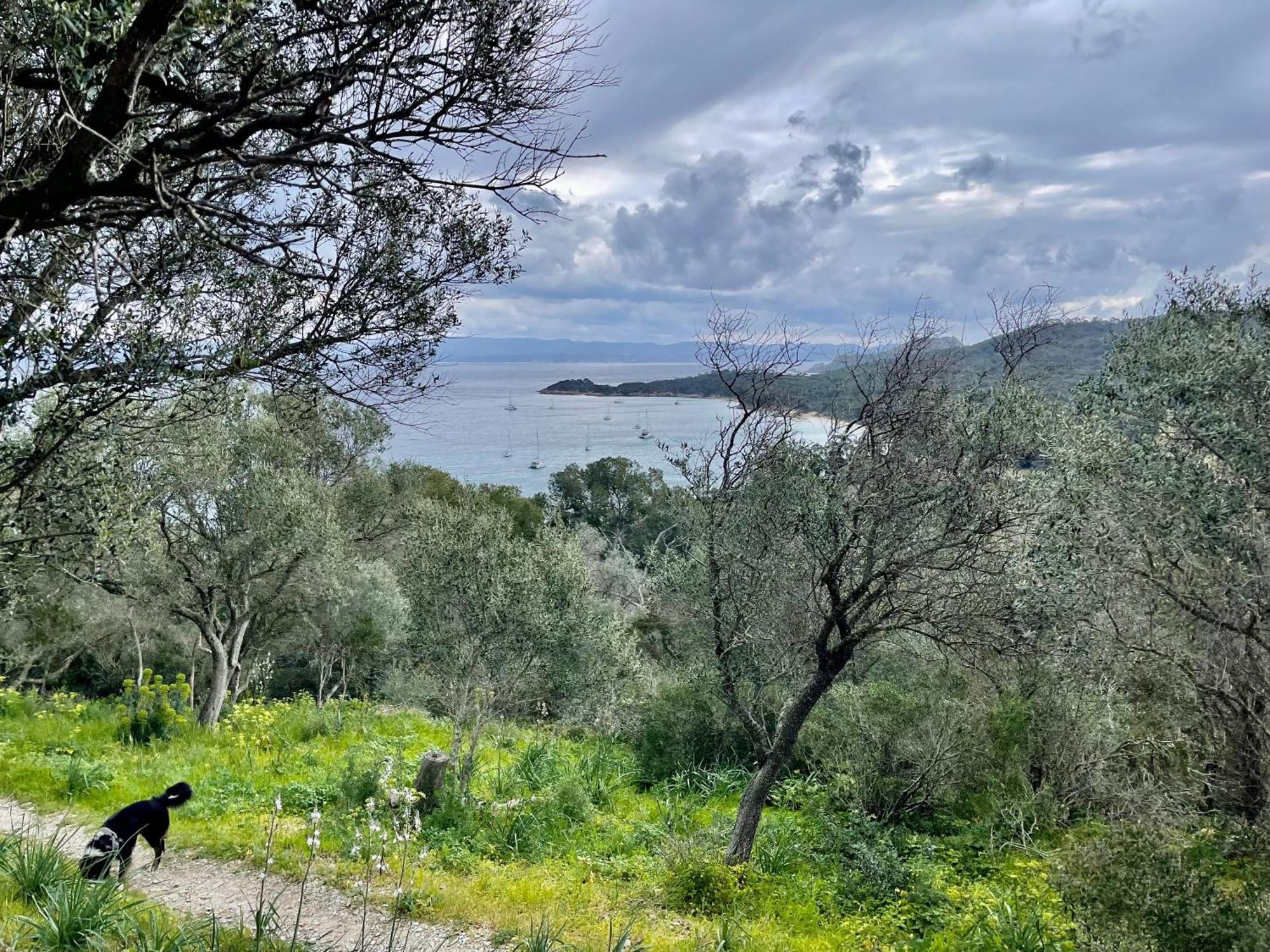 Latitudes 43 Apartman Porquerolles Kültér fotó