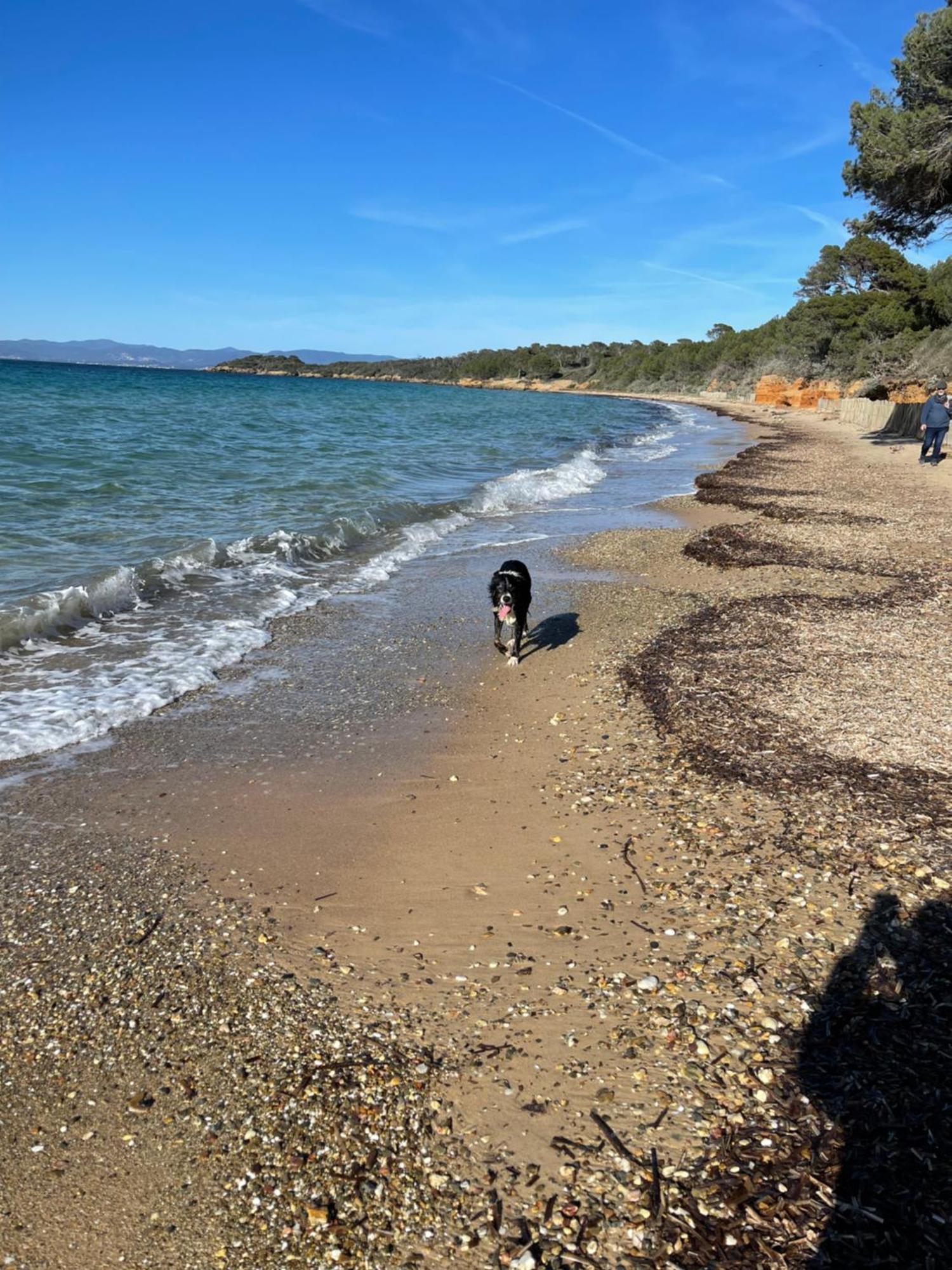 Latitudes 43 Apartman Porquerolles Kültér fotó