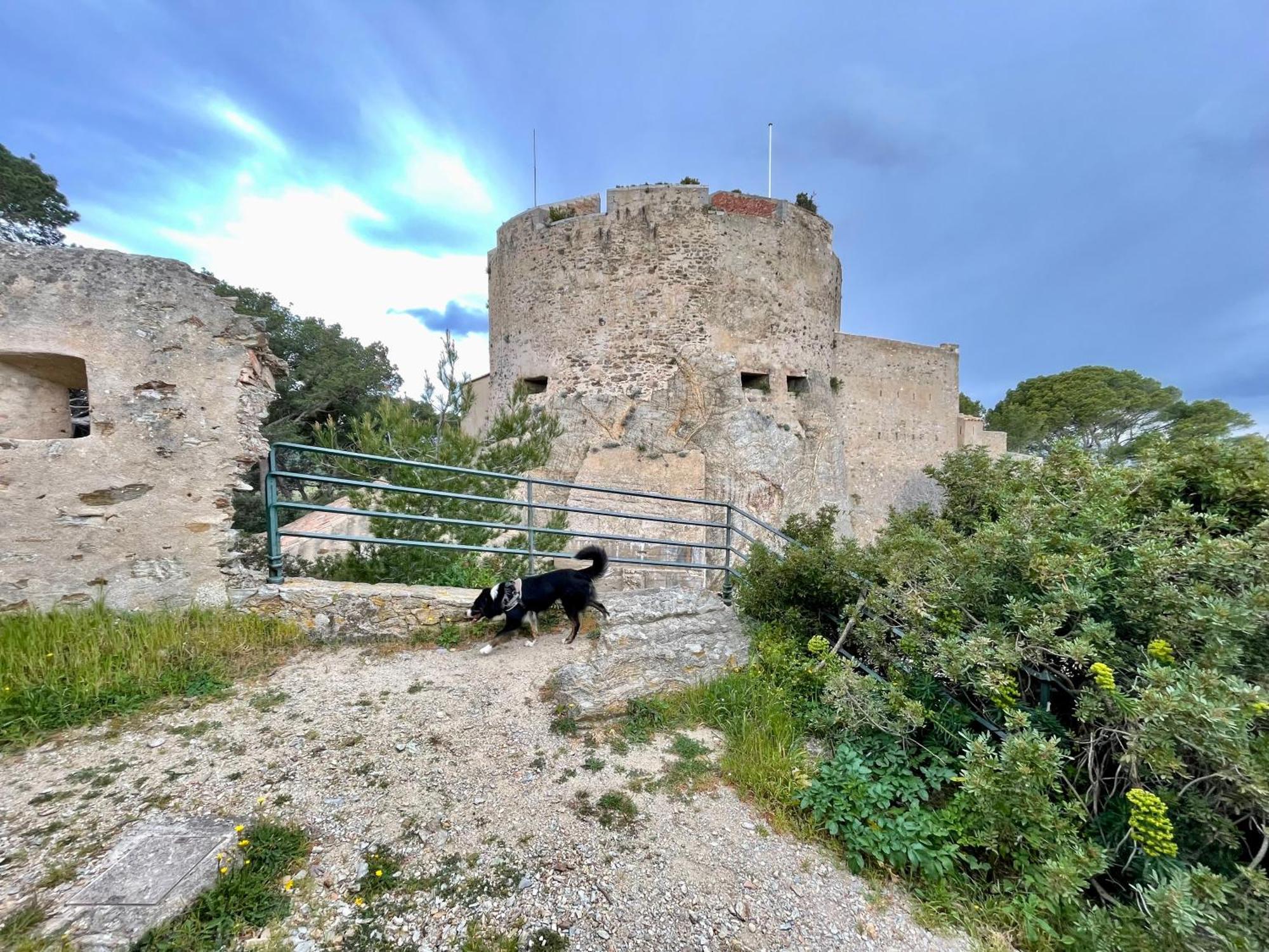 Latitudes 43 Apartman Porquerolles Kültér fotó